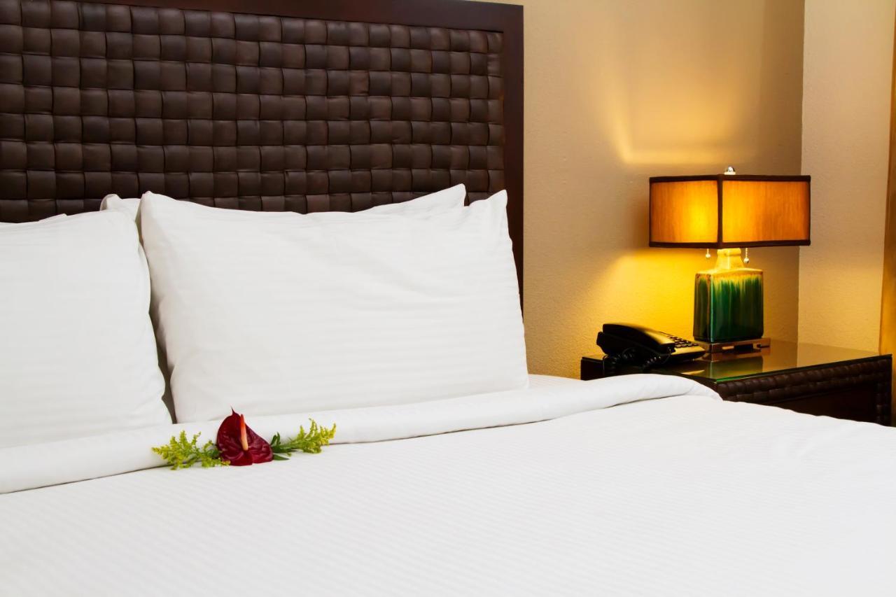 รินคอน เดลแวลเล โฮเต็ล แอนด์ สวีทส์ Hotel ซานโฮเซ ภายนอก รูปภาพ